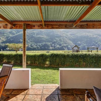 Olive Cottage 4